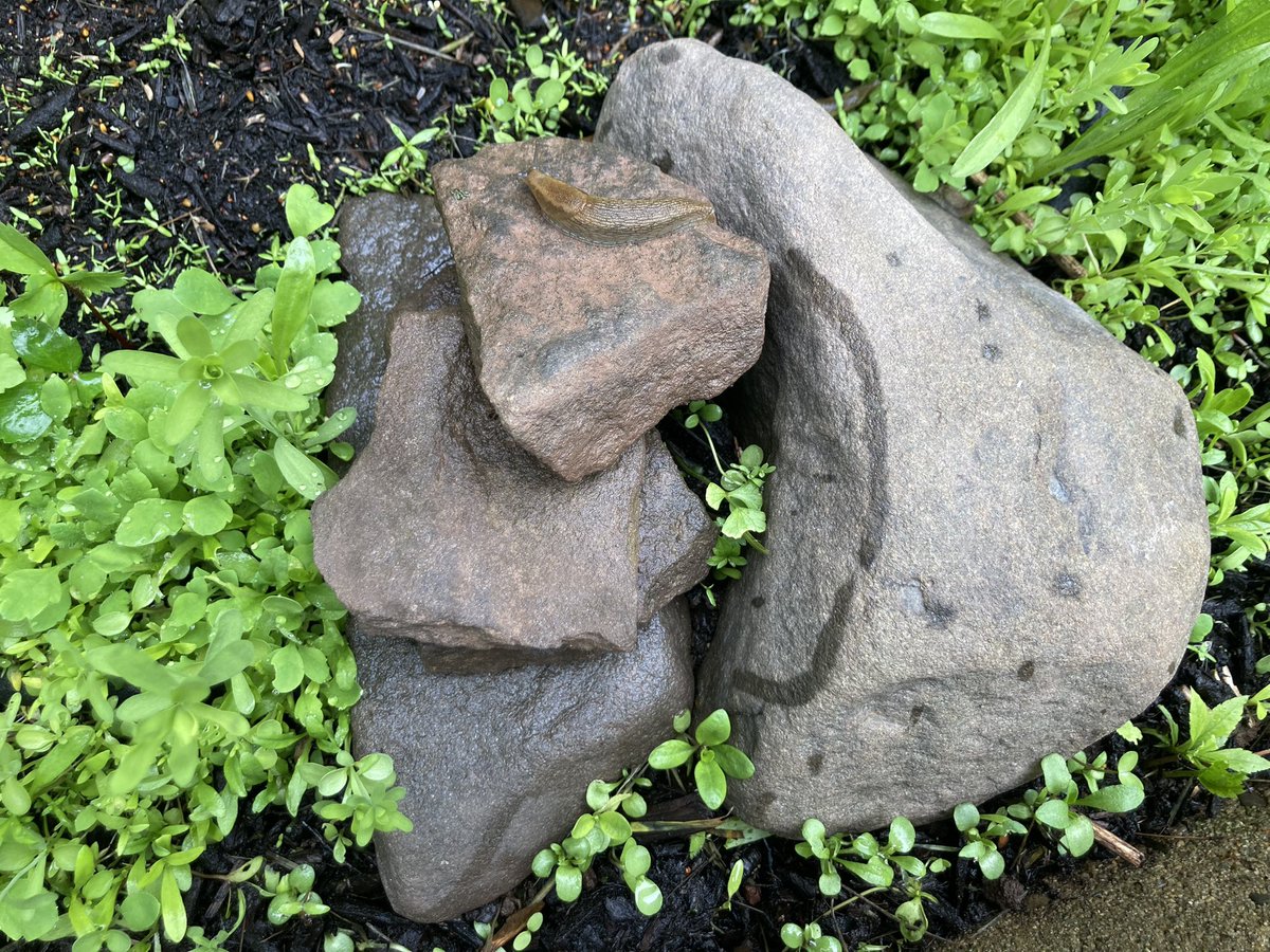 A journey in three parts