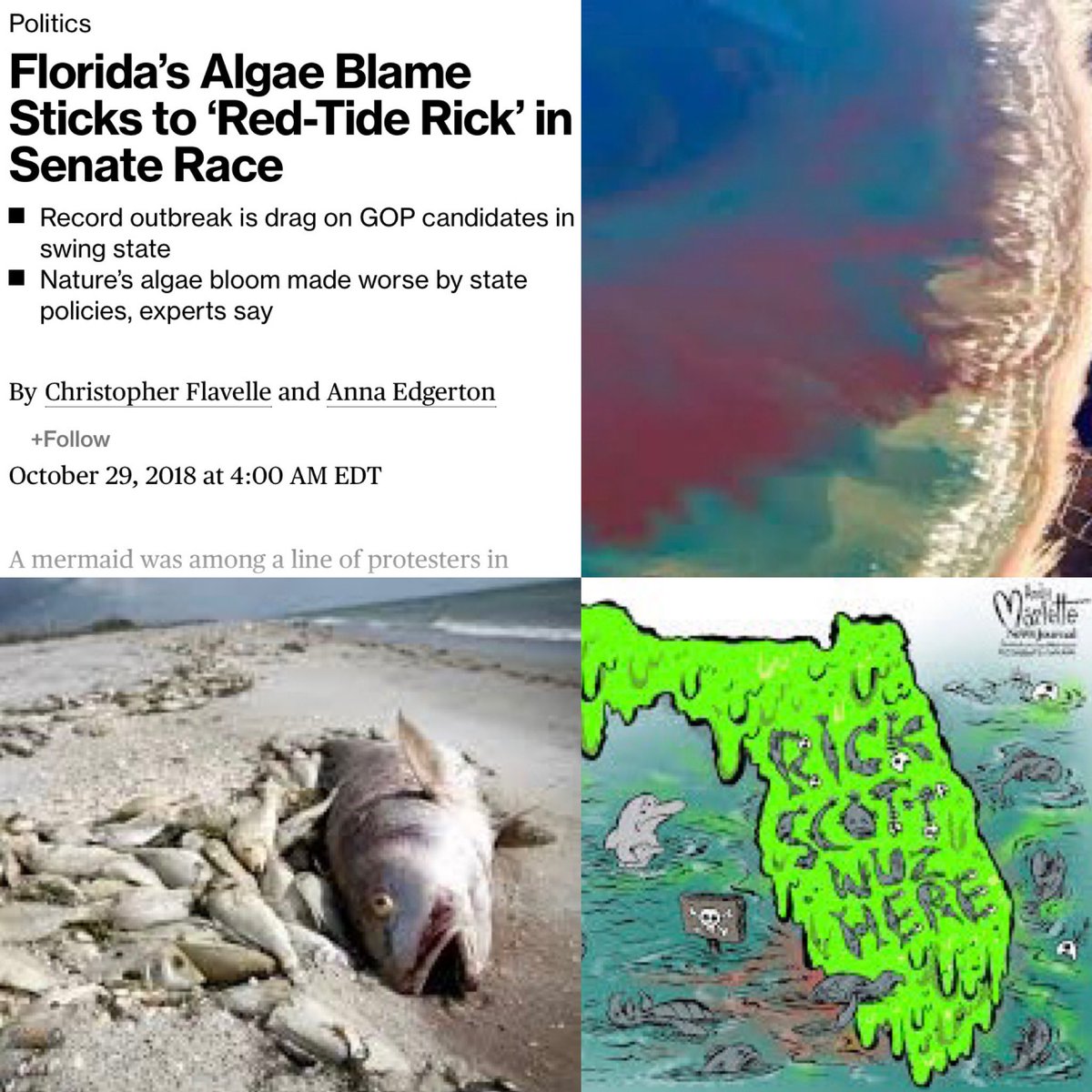 Remember, this is the kind of red Florida turned under his watch. 

#RedTideRick #FloridaRedTide