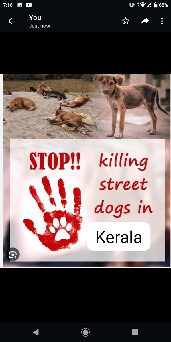 #Animal #stopkeralakilling