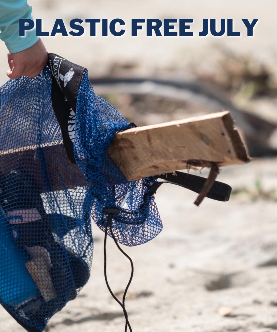 Loggerhead Marinelife Center tweet media