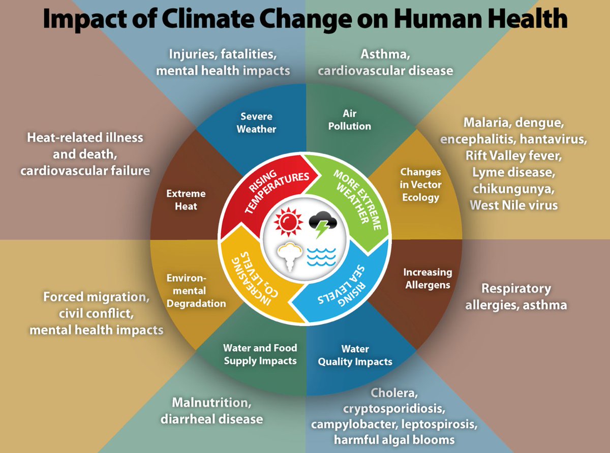 July is National Climate Change and Children’s Health Month! Help spread awareness about the lasting impacts of climate change and take action to protect the planet for future generations! Learn more about how #climate change can affect your life.
cdc.gov/climateandheal…