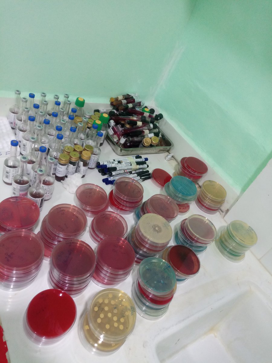 Sc_MASUBI's tweet image. Summarize you weekend with picture🧤🧤🔍
Me. 👇👇