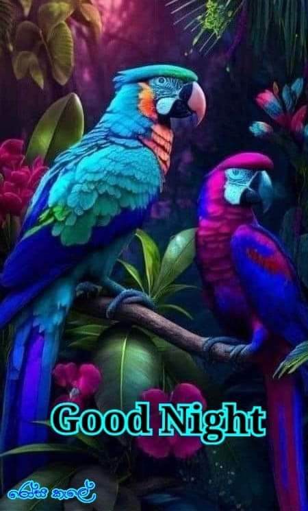 rajadharmarath2's tweet image. 