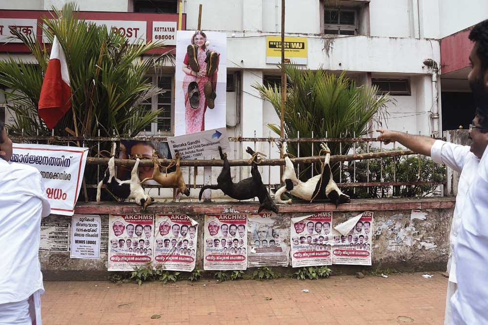 Daljeet_Sahi_1's tweet photo. #stopkeralakillings https://t.co/C1sKwLjsCv