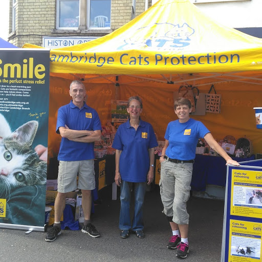 Are you coming to Histon Feast Festival tomorrow, Sunday 2nd July? Look out for us on the High Street (12pm to 4pm) and come to chat to us about all things cat 💛🐱