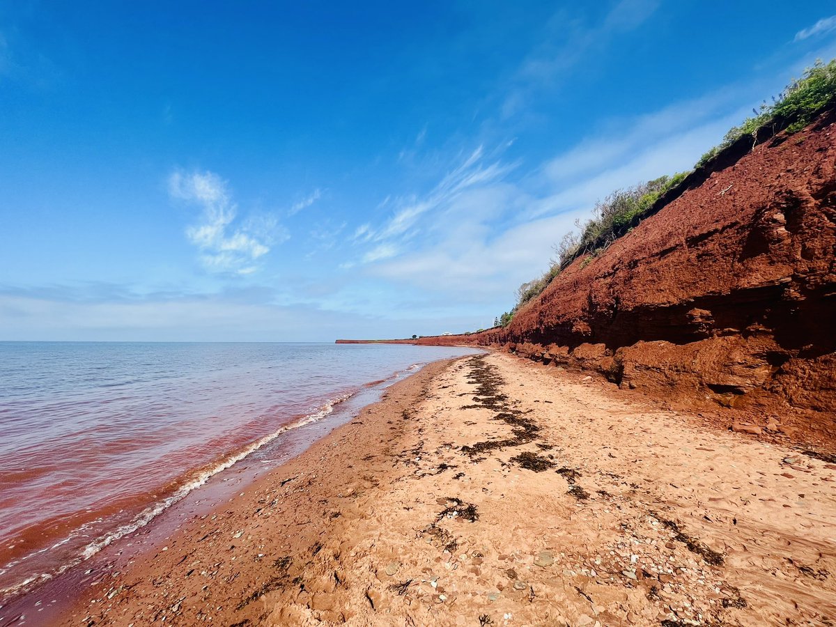 Steve Bruce tweet media