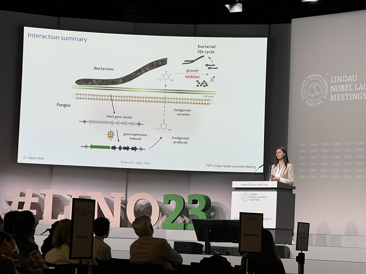 adicapuna's tweet image. 👩🏻‍🔬🧬🧪🔬
#LINO23 @lindaunobel