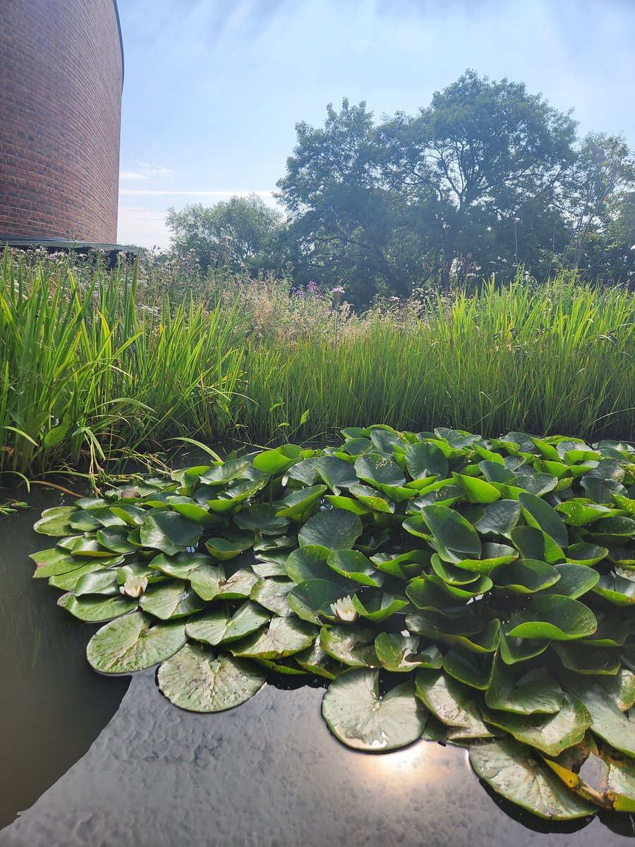 SanSania's tweet photo. Walking pedagogies writing workshop with #JenniferWatt &amp; Michelle Honeyford @edliteracy from U Manitoba on the nature rich campus of U Exeter @The_UKLA https://t.co/fNB95EUElS