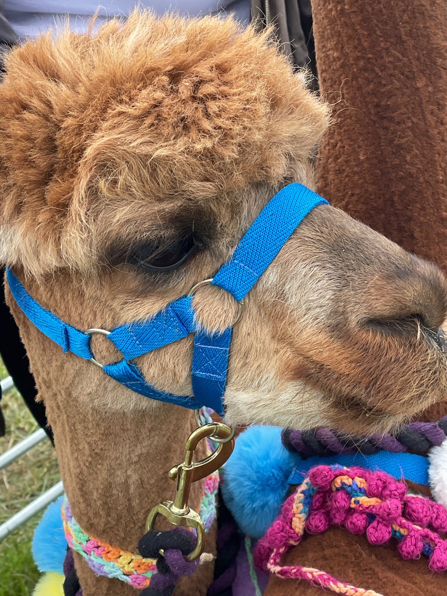 Huddersfield Samaritans tweet media