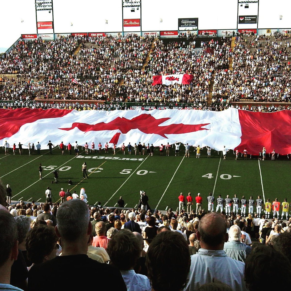 GreyGhost tweet media