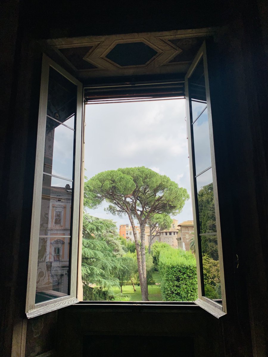 A room with a view. #JulianSandtree #savethetrees #rome