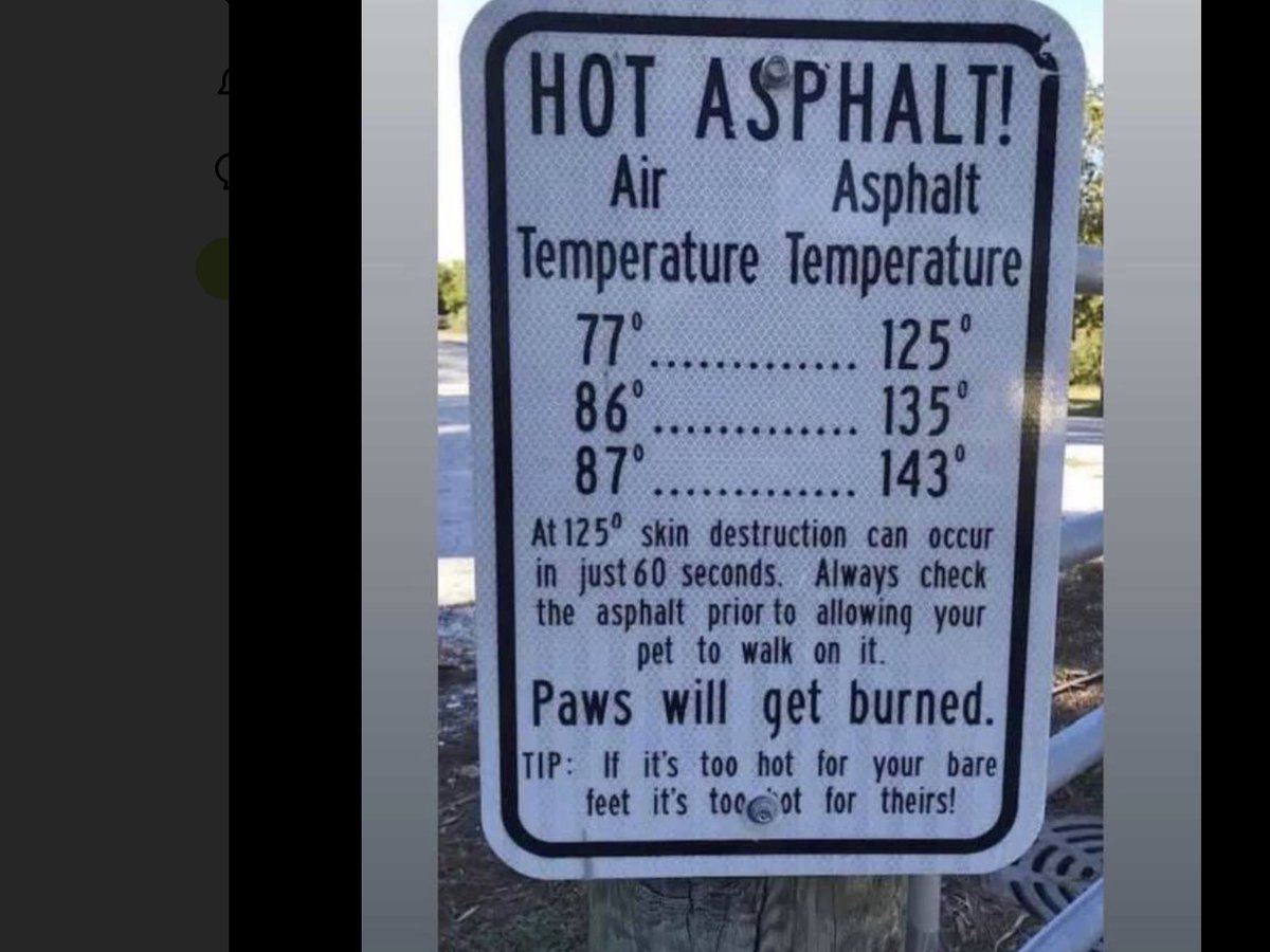PasadenaFD's tweet photo. Lets “paws” for a minute and think about this before you take your dog out for a walk/run during this heatwave. https://t.co/Dtp6133sAz