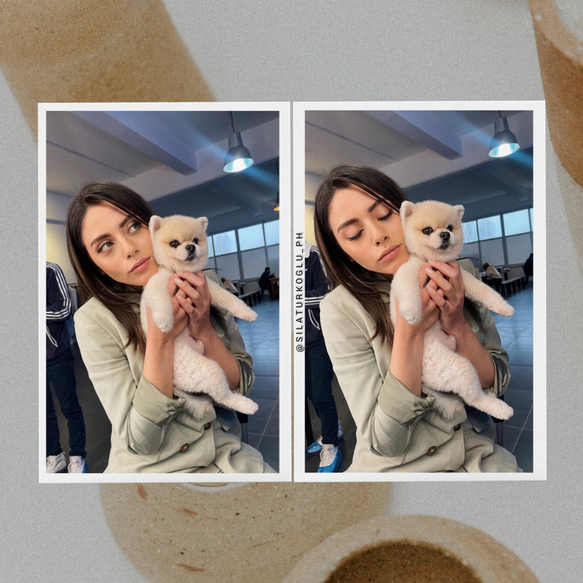 😻 Çok tatli. 

#SılaTürkoğlu