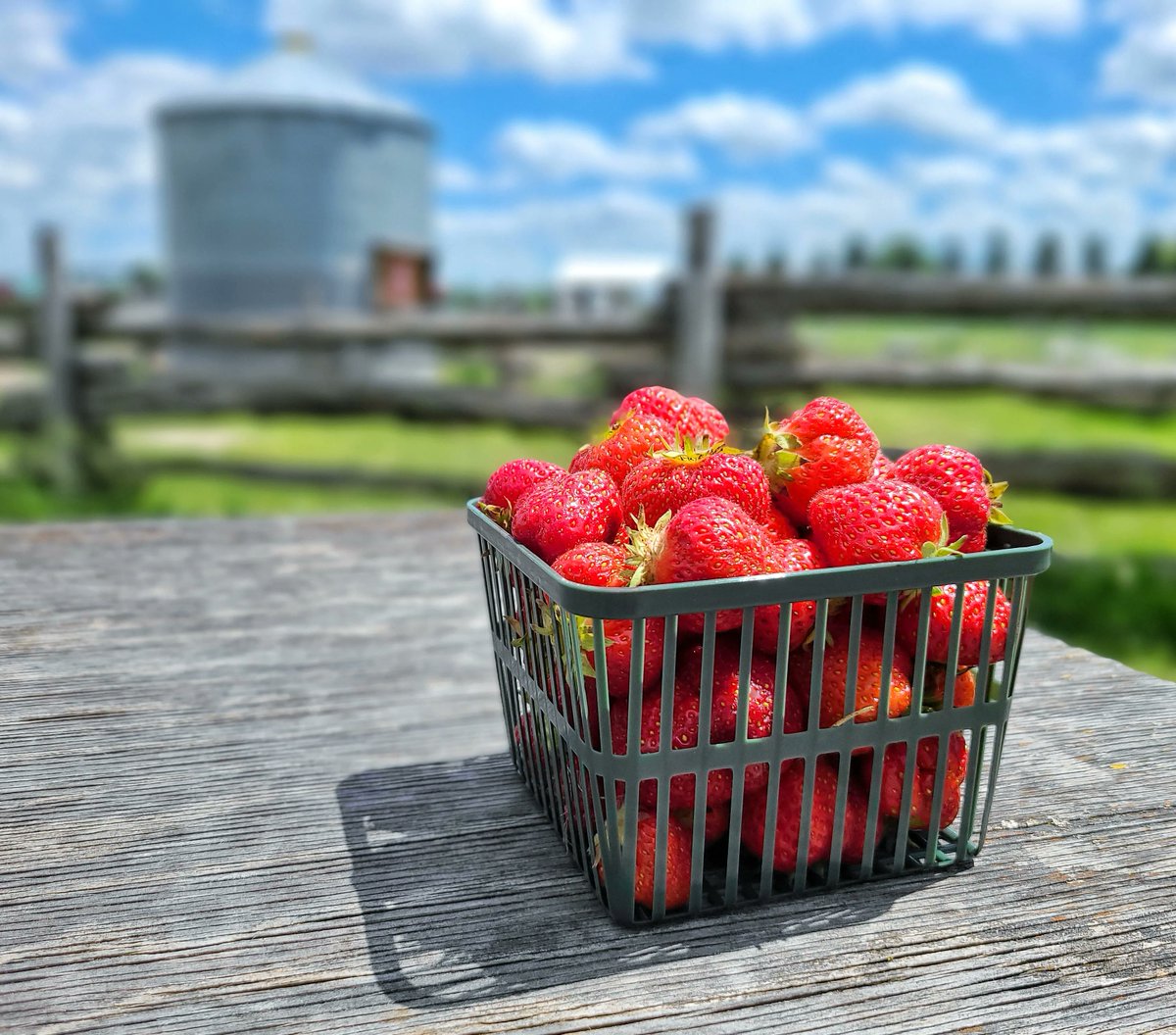 Murphy's Farm Market & Bakery tweet media