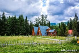 Success does not lie in the amount of strength, but in how long it lasts.