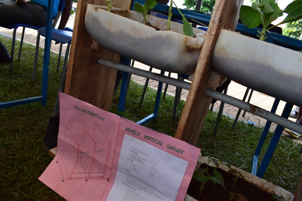 Today  science fair projects. #smackscifair #newcurriculum
Project19: Mobile vertical Garden
movable garden presented