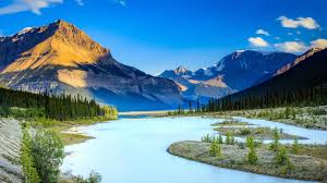 The environment will not change, the solution lies in changing yourself.