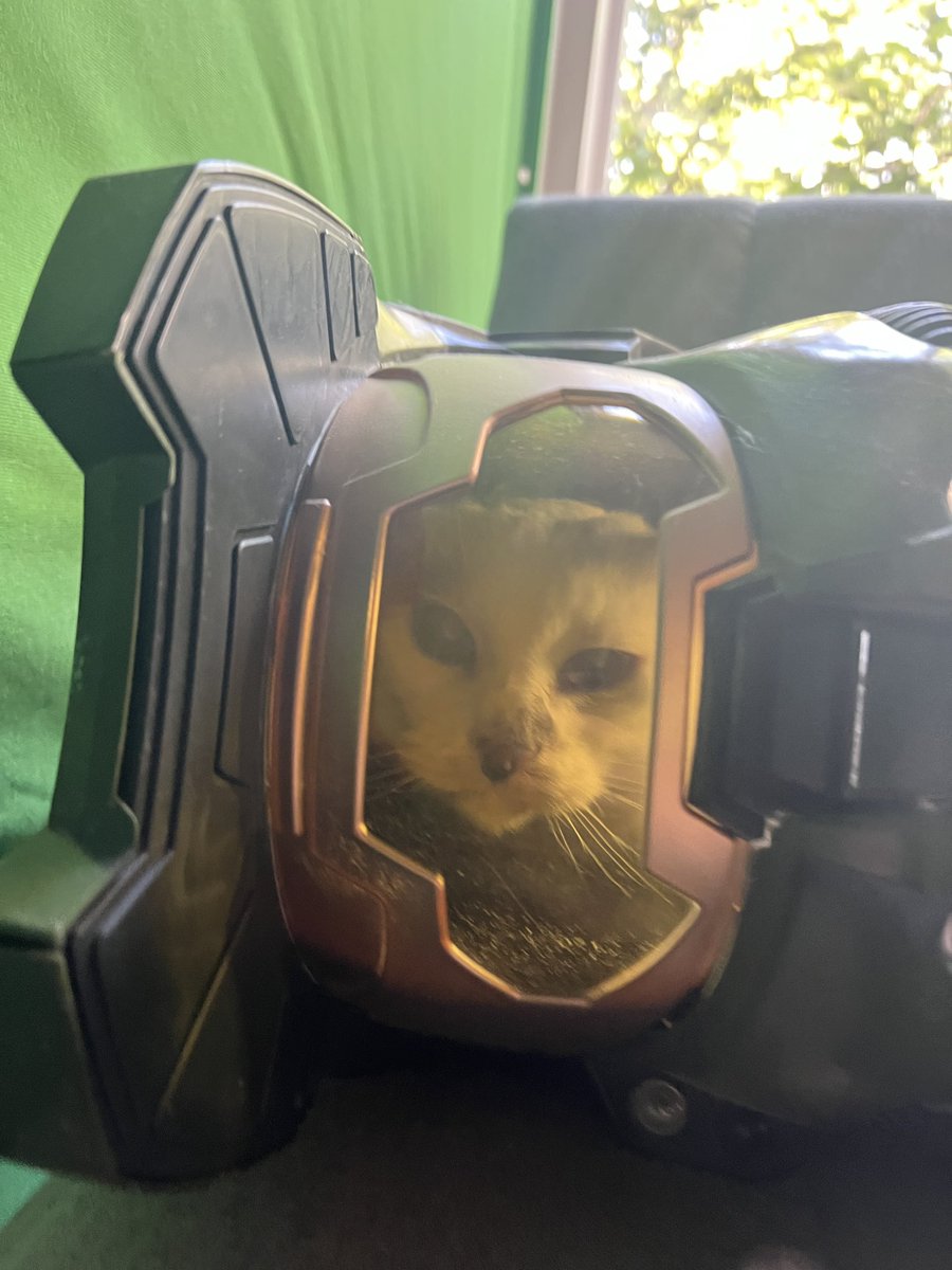 Master Chief face reveal