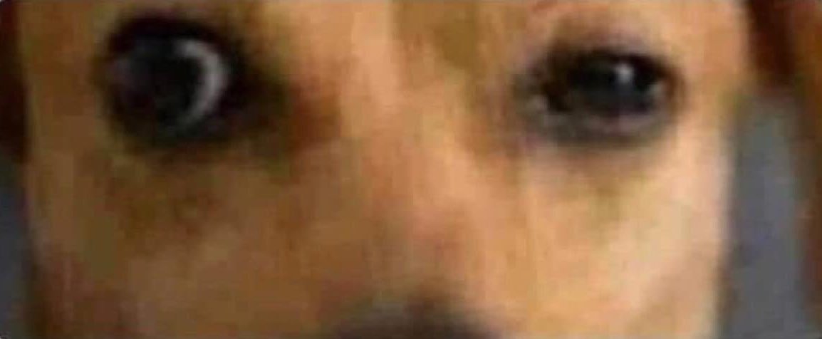 *Eu tentando tirar fotos bonitas*

Meus olhos: