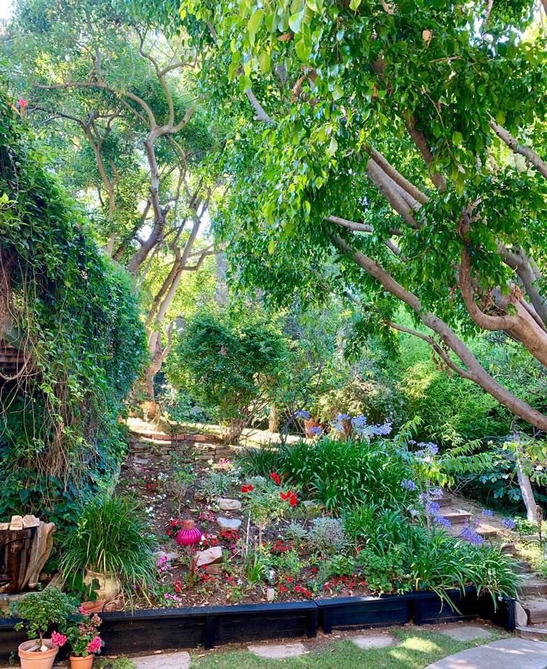 Marianne Roesch tweet media