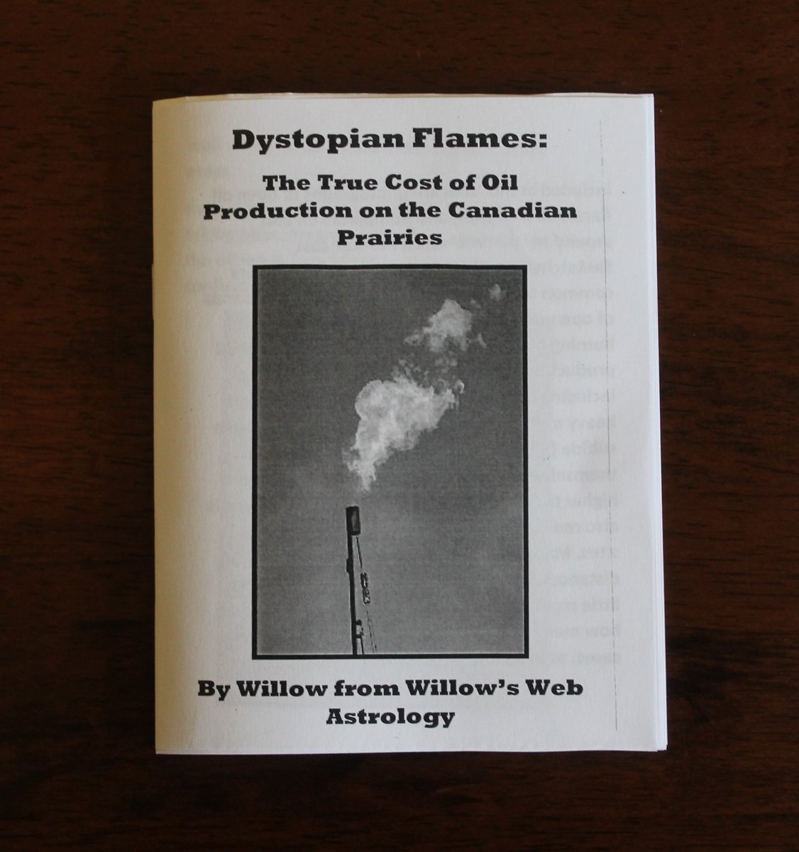 WillowsWebAstro's tweet image. Zine Nerd Alert!

I just found this listing for my Dystopian Flames #zine in the Mount Royal University Library zine collection. I love that #zines are being treated with respect like this. ❤️

#ZineLibrary #DIYPublishing
