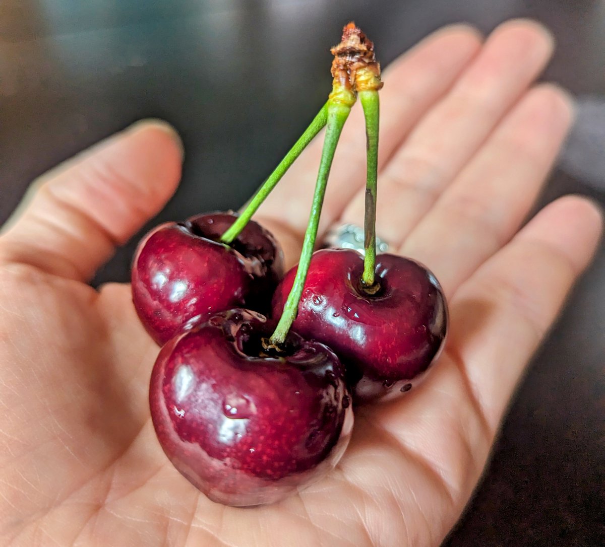 Try me. 🍒

Eat one to remember the sweetest memories of your past.

Eat one to relish the fleeting, never-to-be-captured moment that makes up the present.

Eat one to welcome your future without fear, but with curiosity and an open mind.

Try me. 🍒

#EverydayMagic