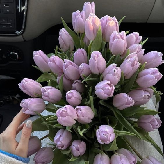busyreading07's tweet photo. "Just living is not enough... one must have sunshine, freedom, and a little flower."

- Hans Christian Andersen https://t.co/iuqfhn6gyZ