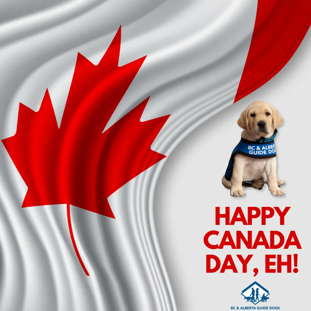 The BC &amp; Alberta Guide Dogs staff wishes you a Happy Canada Day! All the good dogs and puppies would like to remind you that the offices of BC &amp; Alberta Guide Dogs will be closed on Monday, July 3. Please enjoy a well-deserved nap.

#CanadaDay #guidedogs #servicedogs #volunteers