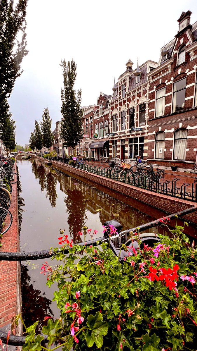 Trips4Soul's tweet photo. #gouda #stadtrundgang #käse https://t.co/FnUK3ewXYs