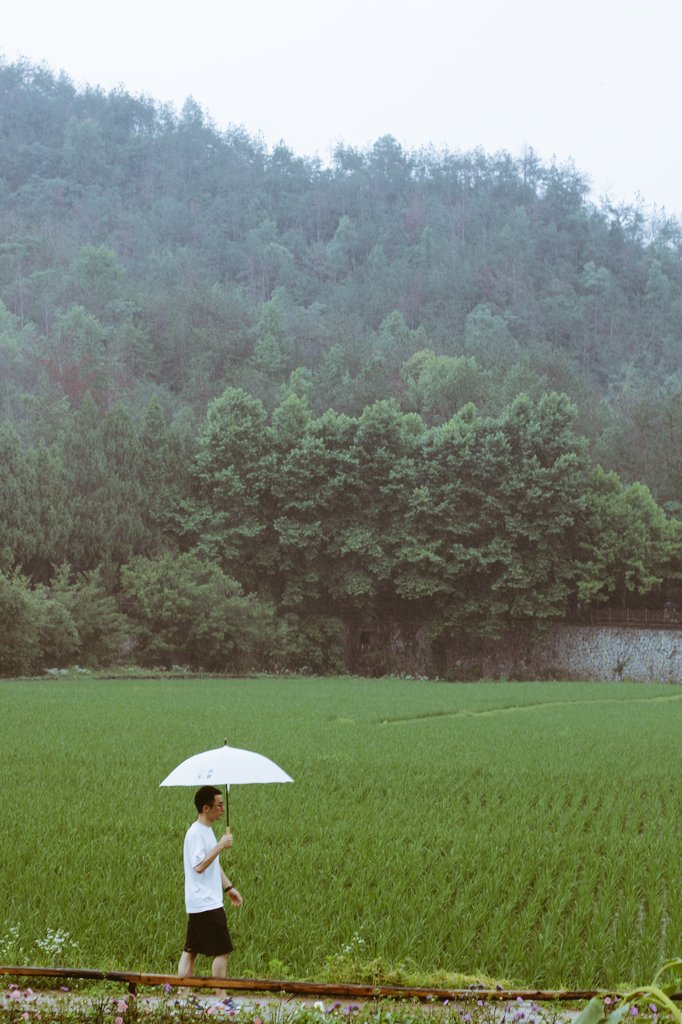 rmyuanfz's tweet photo. 有人等烟雨，有人怪雨急。 https://t.co/WzGYud8q4B