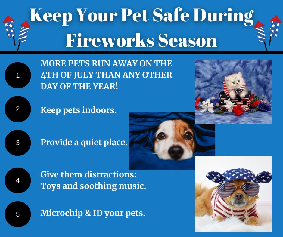 BrazoriaCounty's tweet photo. Keeping your pet safe &amp; calm this 4th of July is important as fireworks can cause burns or trauma to your pet. Follow these safety tips to keep your pet safe and happy over the 4th of July weekend. #4thofJuly #fireworks #petsafety https://t.co/AwhzI9BfFf