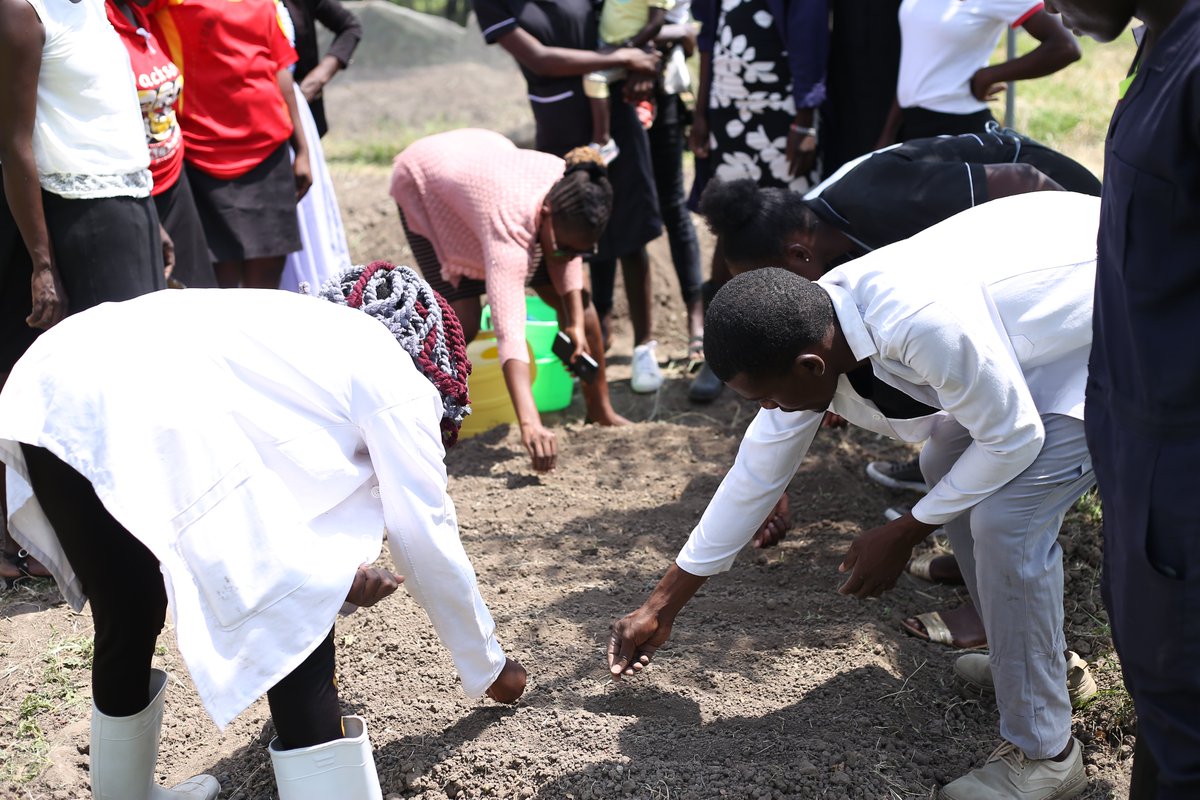 ClothAChildINIT's tweet photo. Activity 3.
Agriculture empowerment; The young mothers were supported with gardens, they planted a variety of food; African leafy vegetables, sweet potatoes, spinach, onions, tomatoes, carrots, Dania, &amp; pumpkin for their infants in the daycare to get hot meals
#infantnutrition https://t.co/t7QUCGFOyu