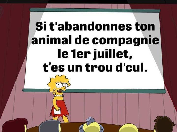 CHantalHabs's tweet photo. Ça me met hors de moi 😡 Comment peut-on abandonner notre animal, un membre de notre famille, notre meilleur ami. Un des seuls êtres vivants qui sera toujours là pour nous, qui nous aimera inconditionnellement.❤️
Si vous n'avez pas assez d'amour à leur donner bin  prenez en pas. https://t.co/LZkSghCEJV