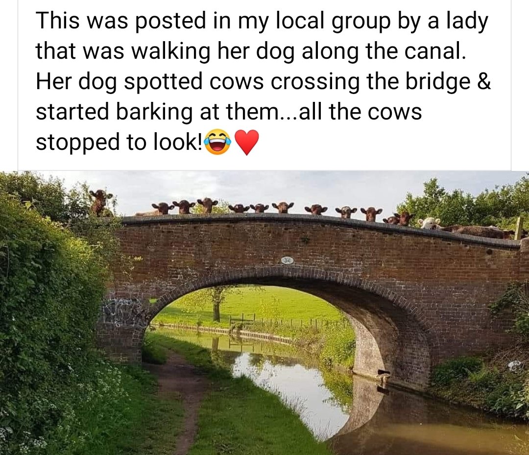 ShedPlant's tweet photo. This made us smile... https://t.co/WqGBBzlcZB