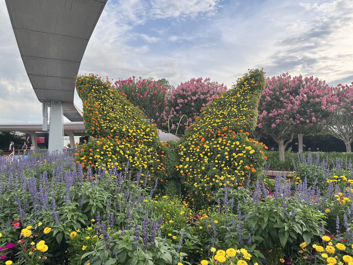 adam_ap_wdw's tweet image. Good morning from Epcot