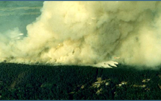 WFLeaders's tweet photo. WOR 2023 - Day 2
Dedicated to all of Michigan's fallen firefighters.
Stockyard Fire (Michigan) – July 1, 1988
May we never stop learning.
See https://t.co/6VI0m8ez5C for more information and discussion questions.
#honorthroughlearning #WOR2023 #fireleadership https://t.co/Fce1a5RkK6