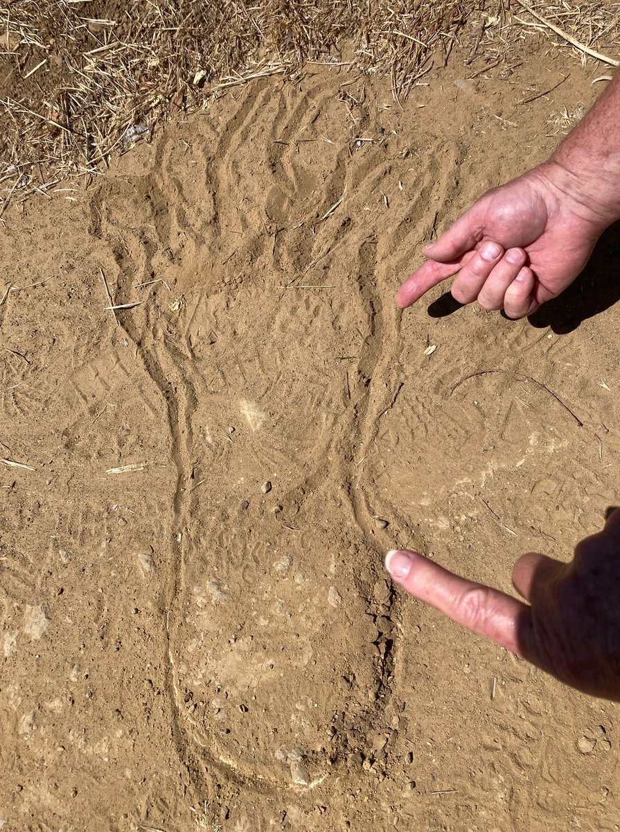 June's “You in the Conejo” winner is Randy Wagner, whose selfie featured the challenge subject for June—a footprint or track—although we're a little suspicious about its authenticity. Randy claims he found his Bigfoot print at Lang Ranch.

cosf.org/?p=15580