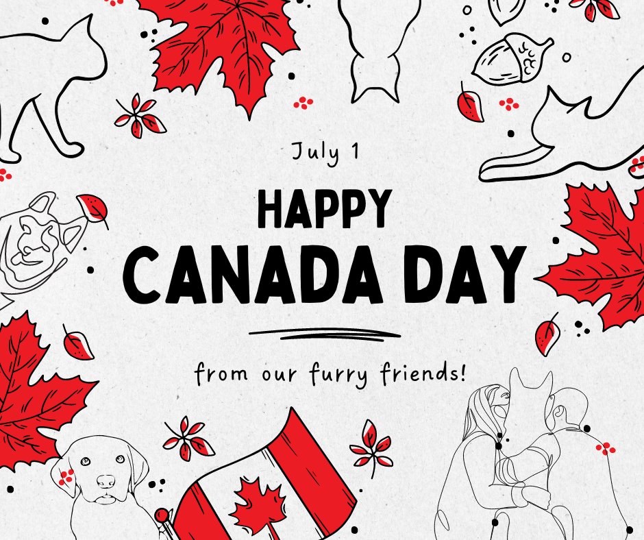 Langley Animal Protection Society tweet media