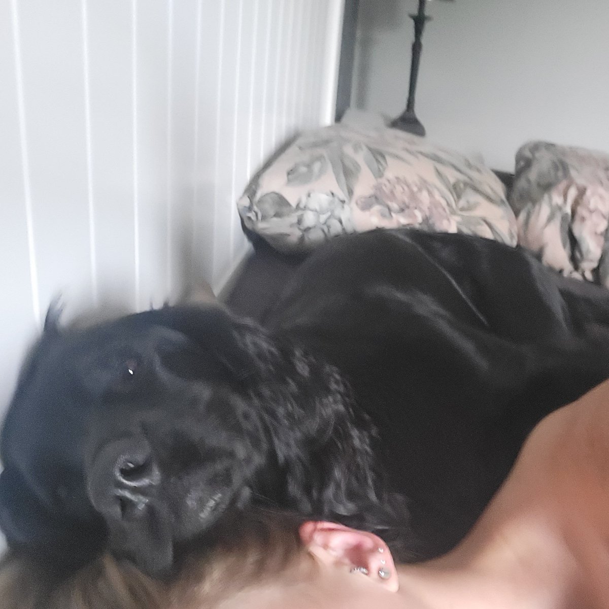 coffeeannan's tweet photo. @honfrsocmed 😍 Visst är det underbart, och ofta ont om plats... https://t.co/rVR2x69GJY