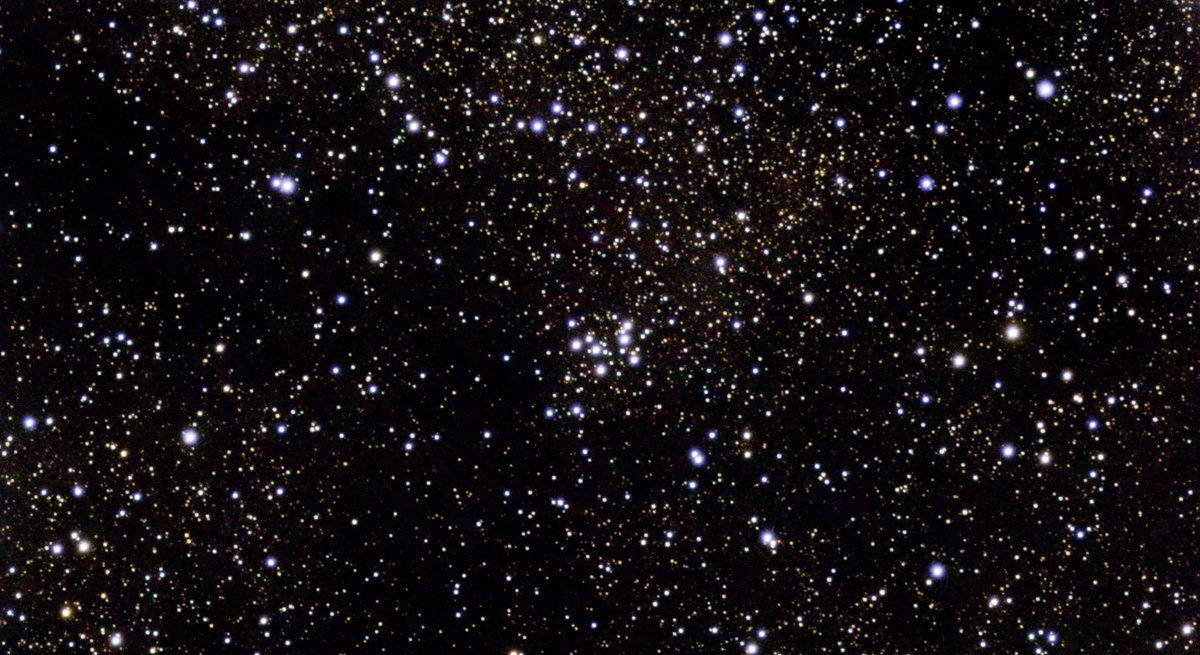 M29 - open cluster.  248 images captured over 41 minutes then
 stacked.  Bortle class 4 sky.  #vaonis #myvespera  #backyardastronomy #astrophotography #vaoniscommunity