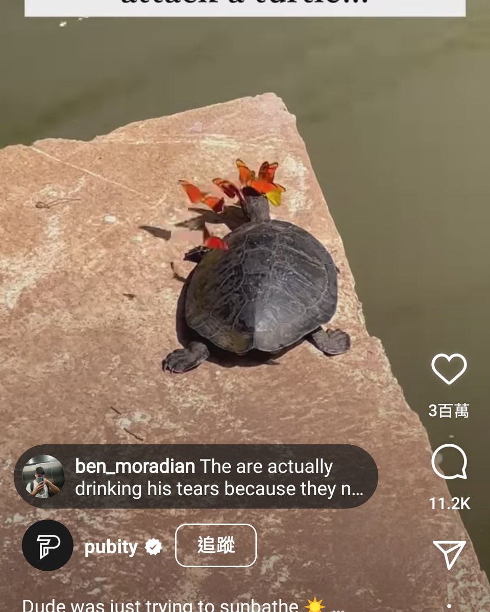 BooKBacKBarK tweet media