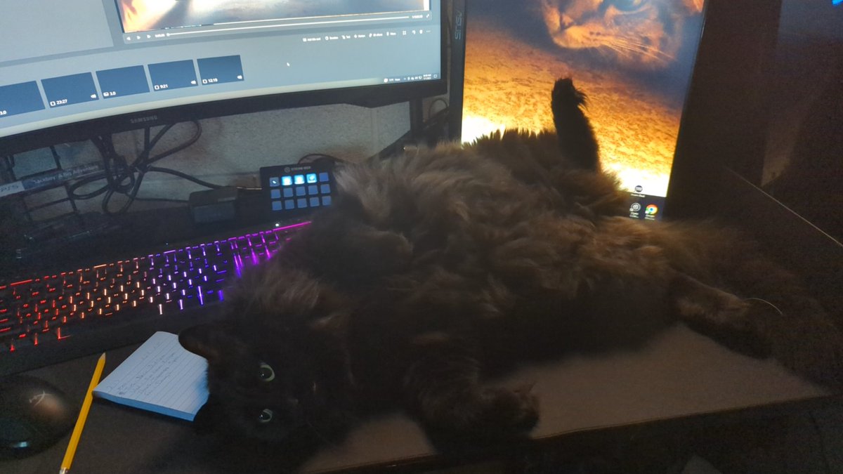 Waldos_W_rld's tweet photo. Others: I'm late to the stream cause the pre stream jitters 

Me: mhm mhm mines a 18lbs cat called Soot ❤️🤦🤣

#Caturday #streamcat #smallstreamer https://t.co/vBNuA9I2N7