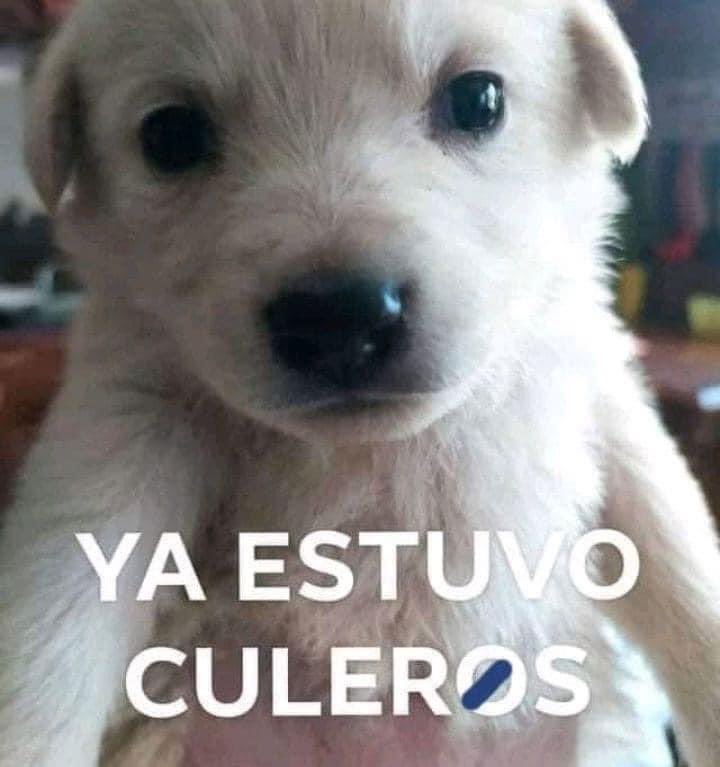 Michobregon7's tweet photo. Me explota la cabeza . 

Yo con todos : https://t.co/FHO6ypbZJ7