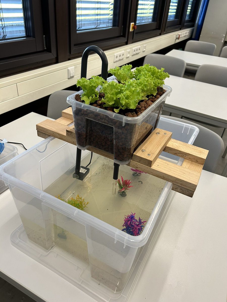 Hannes Helmut Nepper tweet media