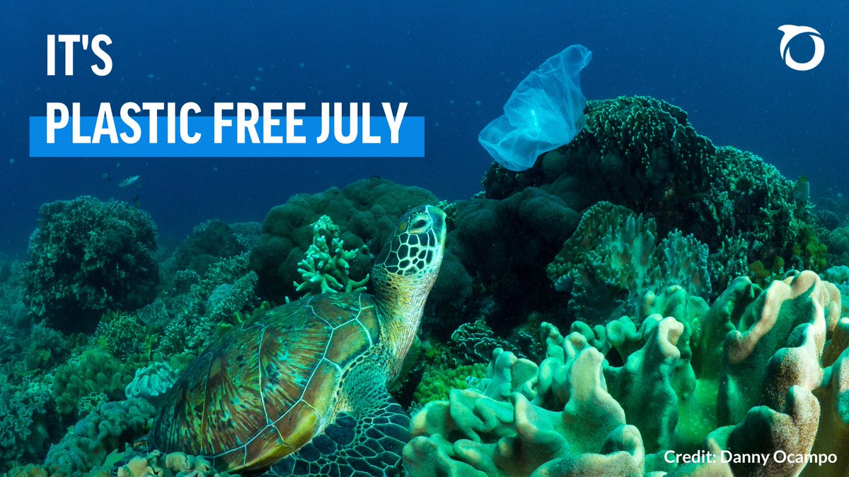 oceana's tweet image. 🌍🚫 Happy first day of #PlasticFreeJuly! 🚫🌍  

The plastic crisis is a massive and growing threat to our oceans, but we can make a difference together! This month, pledge to reduce your plastic footprint and join the movement to #ChooseToRefuse: bit.ly/3CU77Tx