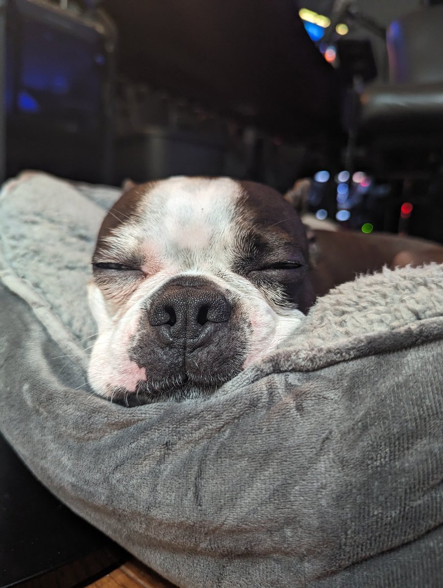 Sequisha tweet media