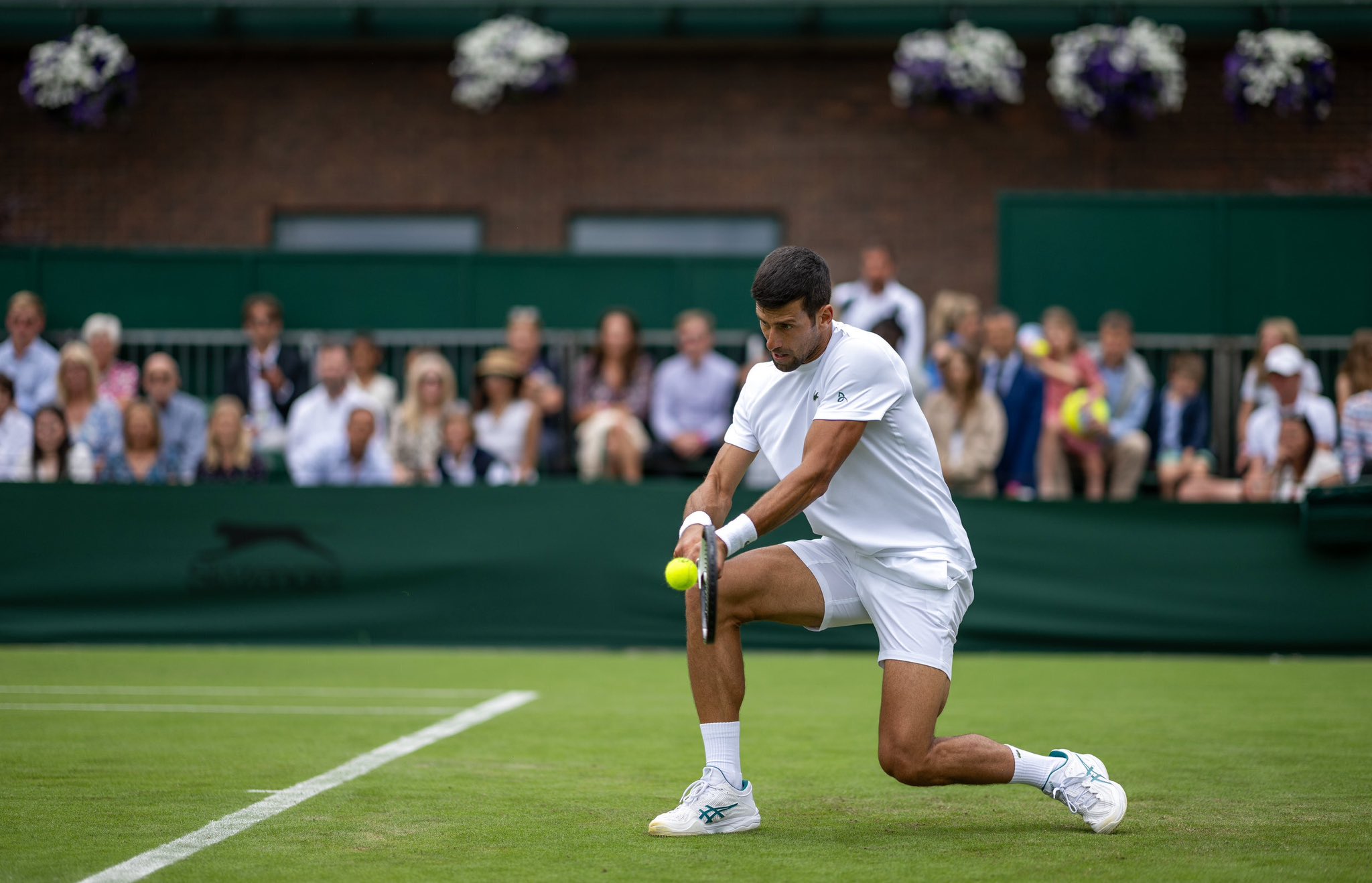 A pesar de la derrota en Wimbledon, Novak Djokovic seguirá motivado a estar más fuerte y seguirse preparando. Foto: Twitter @DjokerNole