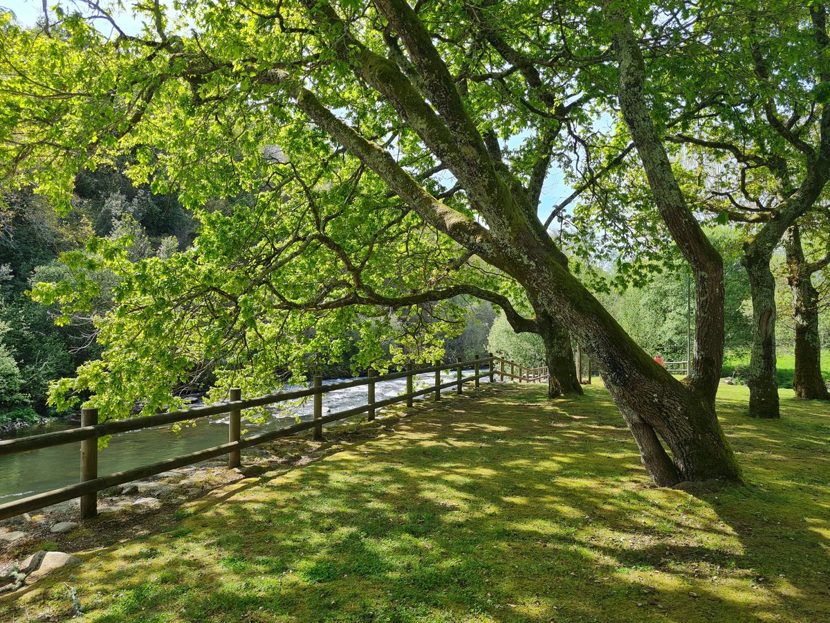 turisriasbaixas's tweet photo. O interior de #PontevedraProvincia é unha invitación a adicarte o tempo que mereces
Nas comarcas do #Deza, #Tabeirós - #TerradeMontes, #OCondado e #Paradanta atoparás vilas e aldeas para facelo devagar, con comidas saborosas e toda a natureza ao teu alcance
#OrixeRíasBaixas https://t.co/0vfCJLbbQV