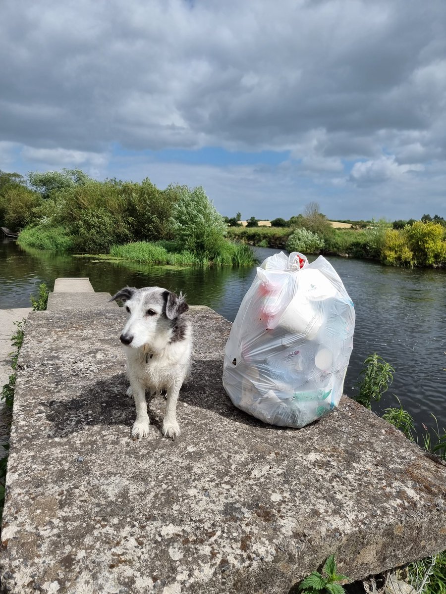 roriain's tweet photo. A great day for a stroll &amp; a #litterpick on the Barrow Track. Carlow lock to Clogrenan lock, (Websters to Lanigans). Emperor dragonfly, Holly blue &amp; Comma. #LeaveNoTrace #lovethisplace #litter #RiverBarrow #adoptaspot https://t.co/t2NGsNpLus