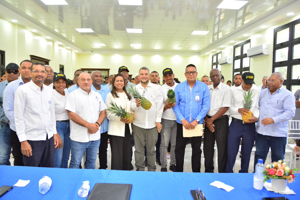 Feda_RD's tweet image. Dentro del marco de la Ruta del Oro el equipo del FEDA encabezado por nuestro director ejecutivo @caamanovive llevaron a cabo la importante Capacitación sobre Producción de Piña a decenas de emprendedores y productores de la provincia Sánchez Ramírez.

#fedard #piña #cotuí